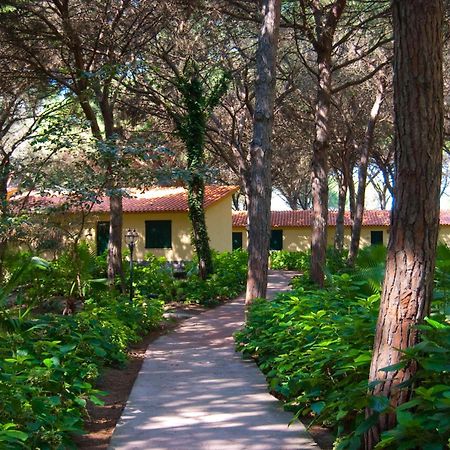 Horse Country Resort Congress & Spa - Hotel Ribot 아르보레아 외부 사진