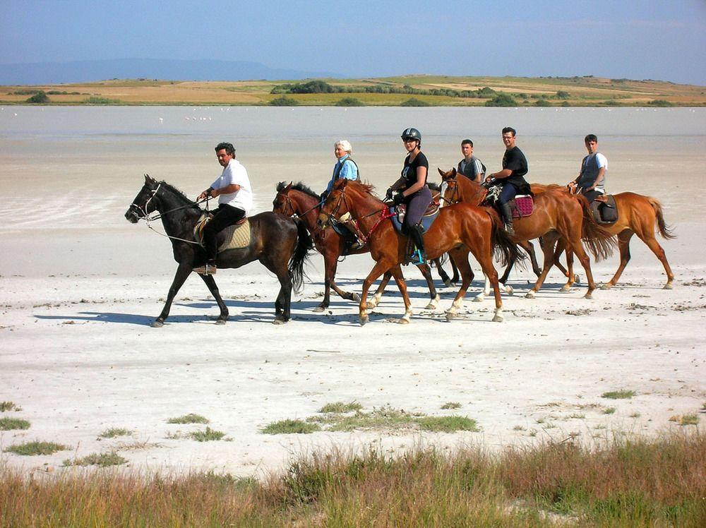 Horse Country Resort Congress & Spa - Hotel Ribot 아르보레아 외부 사진