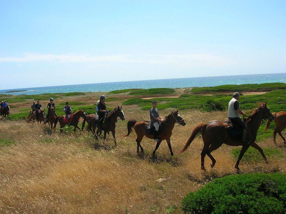 Horse Country Resort Congress & Spa - Hotel Ribot 아르보레아 외부 사진