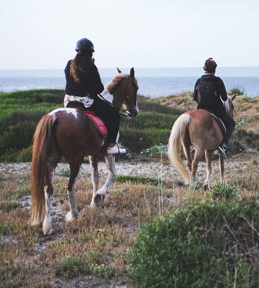 Horse Country Resort Congress & Spa - Hotel Ribot 아르보레아 외부 사진