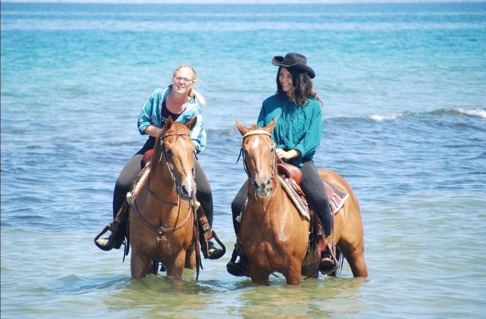 Horse Country Resort Congress & Spa - Hotel Ribot 아르보레아 외부 사진