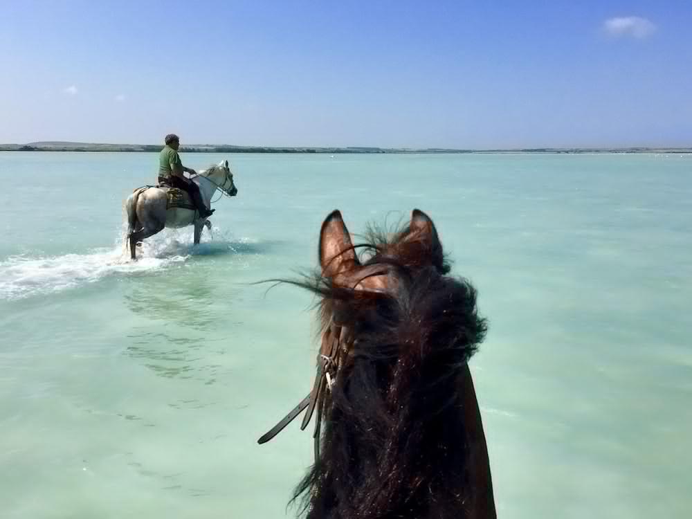 Horse Country Resort Congress & Spa - Hotel Ribot 아르보레아 외부 사진