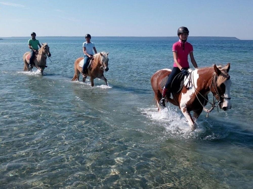 Horse Country Resort Congress & Spa - Hotel Ribot 아르보레아 외부 사진