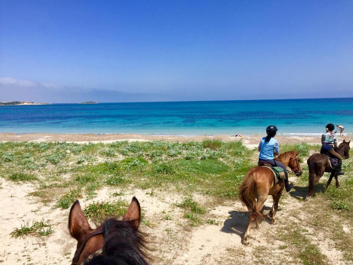 Horse Country Resort Congress & Spa - Hotel Ribot 아르보레아 외부 사진