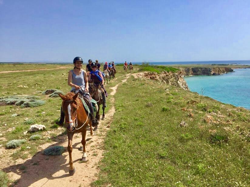 Horse Country Resort Congress & Spa - Hotel Ribot 아르보레아 외부 사진