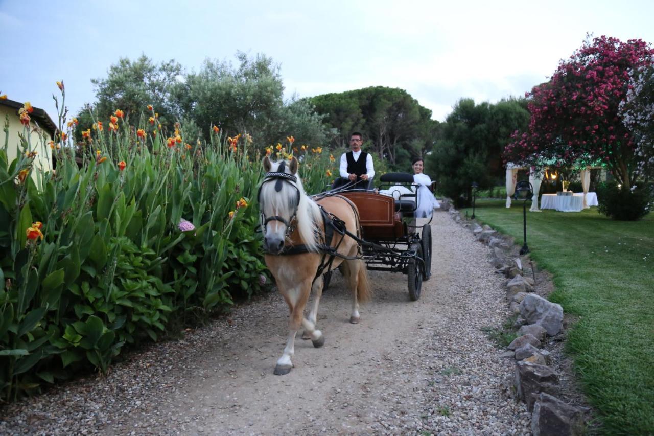 Horse Country Resort Congress & Spa - Hotel Ribot 아르보레아 외부 사진